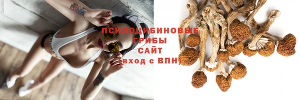 mdpv Мегион
