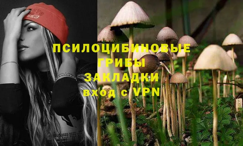 Галлюциногенные грибы Cubensis  Макушино 