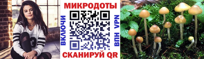Псилоцибиновые грибы Cubensis  Макушино 